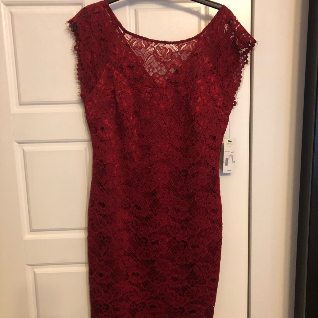 Brand New Red Lace Laundry By Shelli Segal Size 8